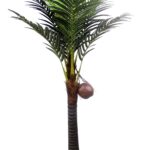 Coconut Tree Small