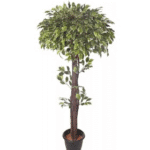 Artificial Mini V.G. Ficus Real Touch Topiary�