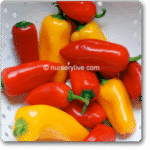 Sweet Pepper F1 Hungarian WX - 10 -Indian Vegitables