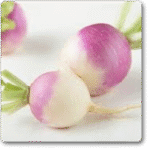 Turnip Imported, Turnip Purple Top