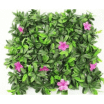 Pink Flower Big Leaves for Vertical Garden - Outdoor