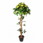 Artificial Camellia Plant Topiary 'N' Coffe wood Stick 4' (Yellow)