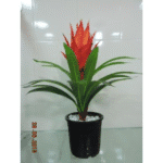 Artificial Plant 1920 J Guzmania Plant�