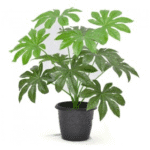 Artificial Papaya Mini Plant 1.25'