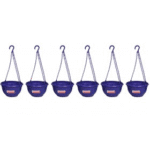 Hanging Planter Violet