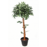 Artificial V.G Ficus Mini Topiary Coffee Wood