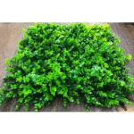 Outdoor Ball Leaves Tiles for Vertical Garden - Outdoor