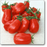 Tomato San Marzano 3