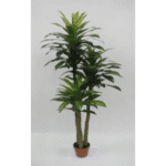 Artificial Dracaena Plant S.T�