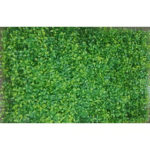 Small Green and Yellow Leaves Tiles - Indoor