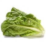 Lettuce salad crisp head great lakes green