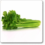 Celery Imported - Celery Tall Utah�Exotic Herb Seeds