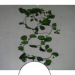 Artificial Mini Lvs. Hanging Bush x 416 Lvs.