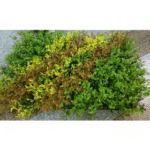 Multi-Color Long leaves Tiles for Vertical Garden - Artificial Garden