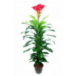 Artificial Orchid Tree Real Touch 4