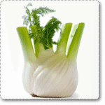 Imported Sweet Fennel