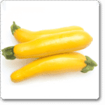 Squash Golden Yellow