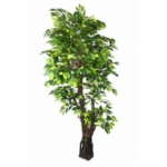 Artificial Ficus ART E Trunk Plant 6'