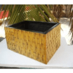 Cane Fiber Planter