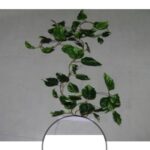 Artificial Hanging Peperomia V.G. Big�