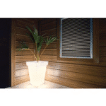 Illuminated Planter 9153