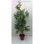 Artificial Plant 2270-W�