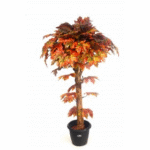 Artificial Canadian Maple Topiary N Coffee Wood 3