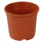 Sunrise Pot 22 cm (9") Terracotta�