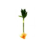 Lotus Bamboo (Small)