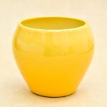 3.7 inch Apple Round Ceramic Pot (Yellow)