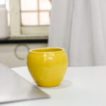3.3 inch Apple Round Ceramic Pot (Yellow)