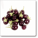 Brinjal F1 Hybrid Chu-Chu