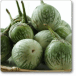 Brinjal F1 Hybrid Green OS 995