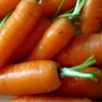 Carrot Early Nantes Imp.�